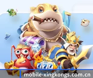 mobile-xingkongs.com.cn的故事